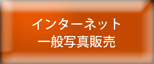 インターネット一般写真販売